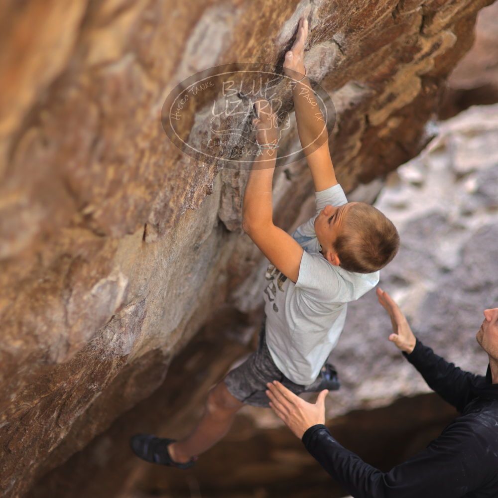 

Filename: SRM_20211223_1228320.jpg
Aperture: f/1.4
Shutter Speed: 1/2000
Body: Canon EOS R6
Lens: Canon EF 85mm f/1.2 L II