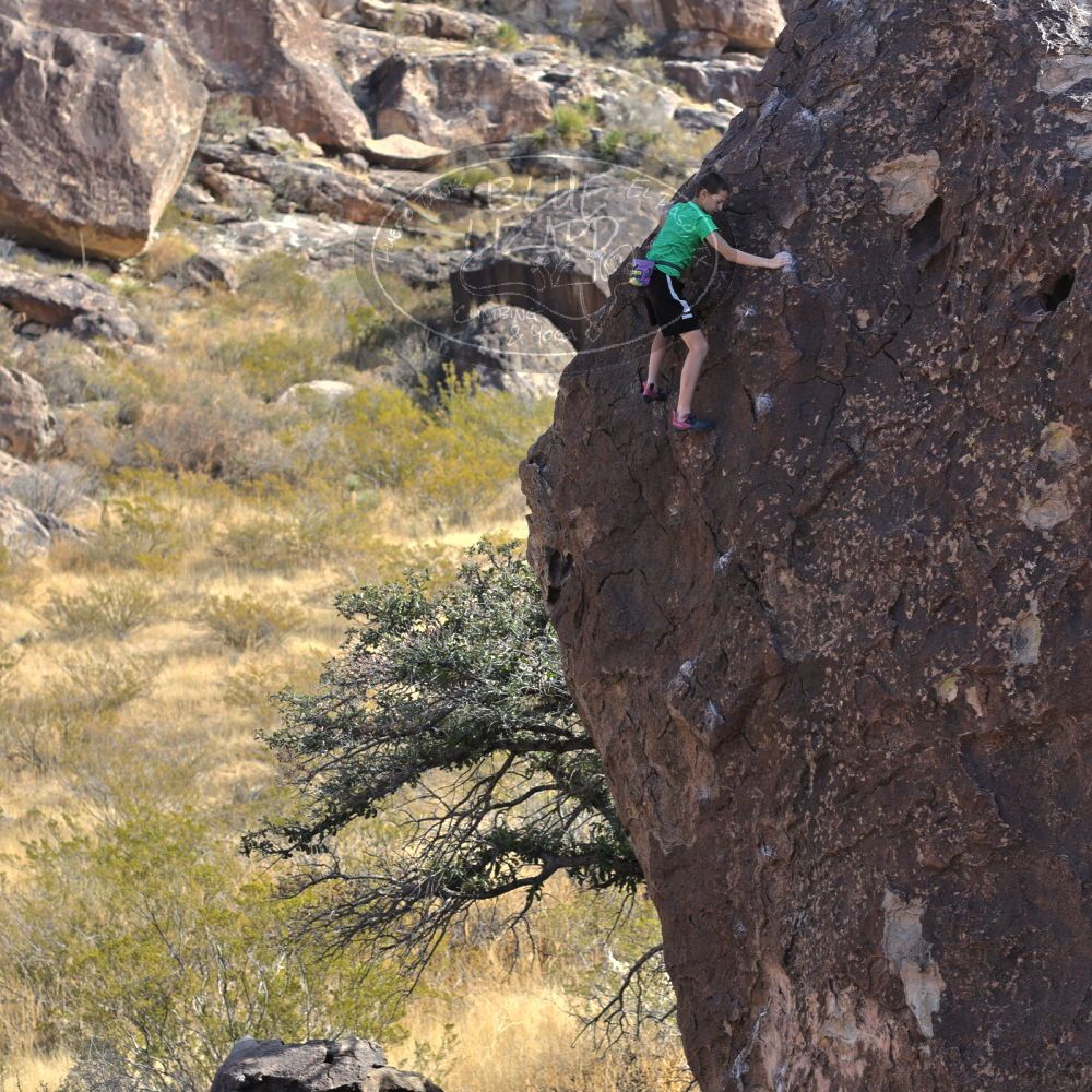 

Filename: SRM_20211223_1258340.jpg
Aperture: f/4.0
Shutter Speed: 1/1000
Body: Canon EOS R6
Lens: Canon EF 85mm f/1.2 L II