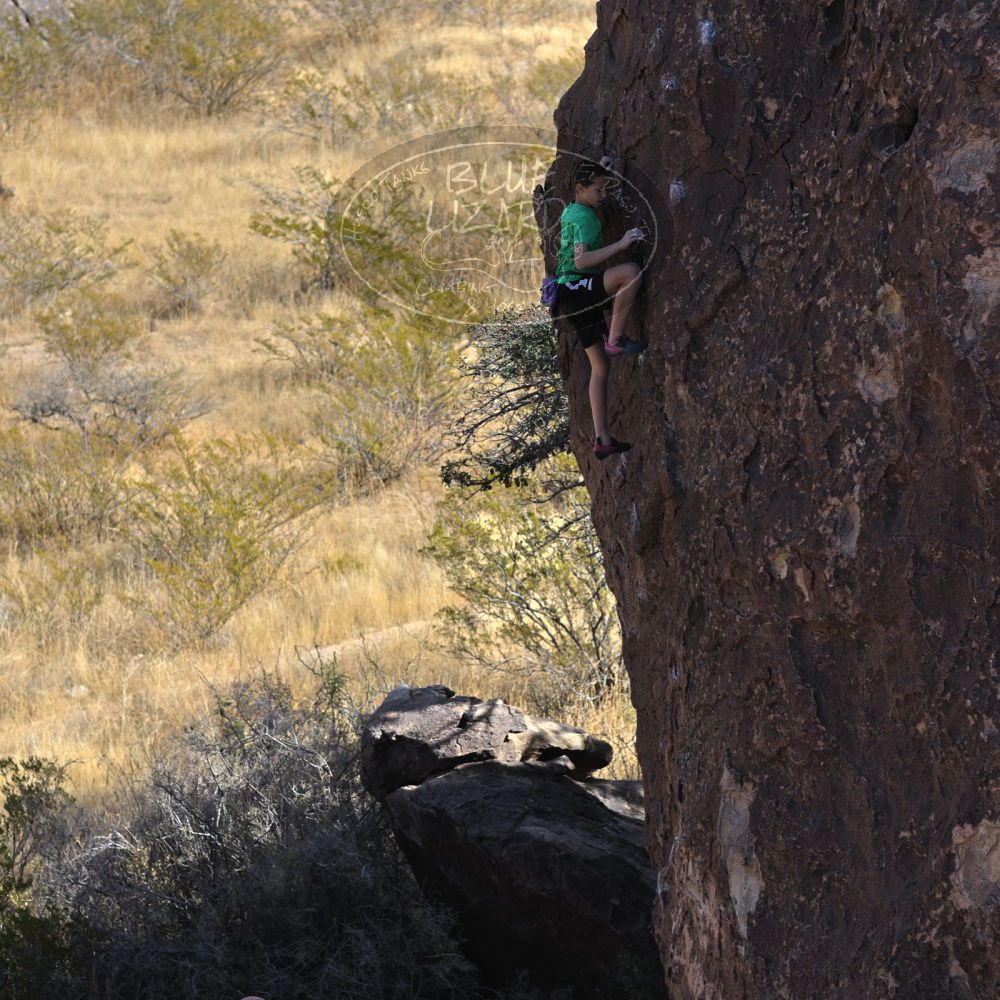 

Filename: SRM_20211223_1259040.jpg
Aperture: f/4.0
Shutter Speed: 1/1000
Body: Canon EOS R6
Lens: Canon EF 85mm f/1.2 L II