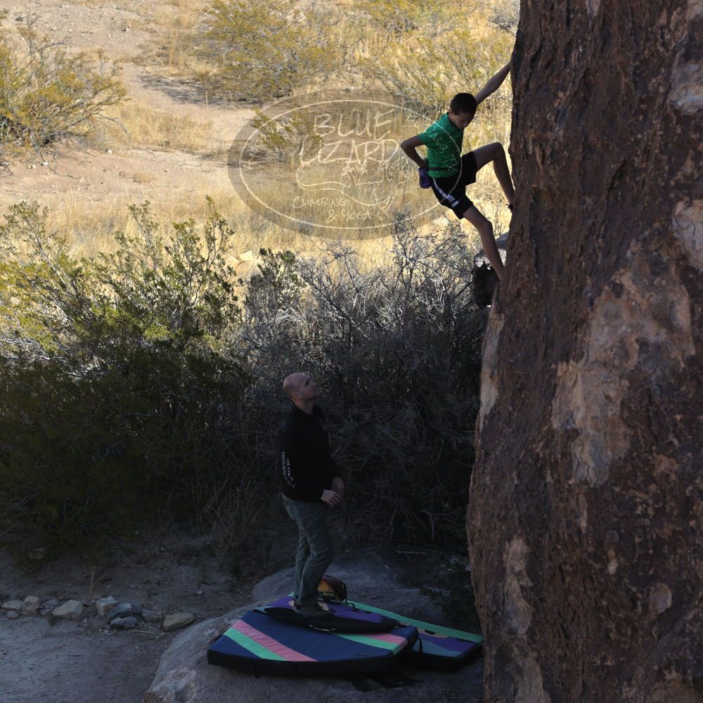 

Filename: SRM_20211223_1259280.jpg
Aperture: f/4.0
Shutter Speed: 1/1000
Body: Canon EOS R6
Lens: Canon EF 85mm f/1.2 L II