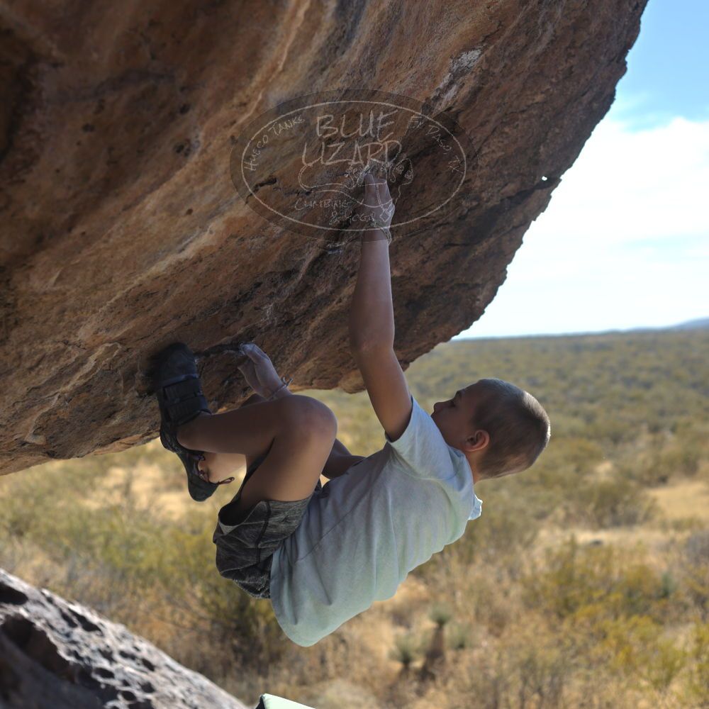 

Filename: SRM_20211223_1351470.jpg
Aperture: f/4.0
Shutter Speed: 1/1000
Body: Canon EOS R6
Lens: Canon EF 50mm f/1.8 II