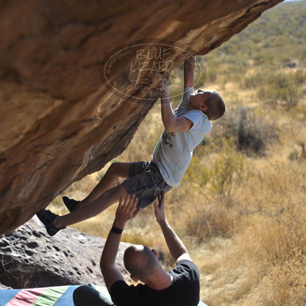 

Filename: SRM_20211223_1411590.jpg
Aperture: f/2.8
Shutter Speed: 1/3200
Body: Canon EOS R6
Lens: Canon EF 50mm f/1.8 II