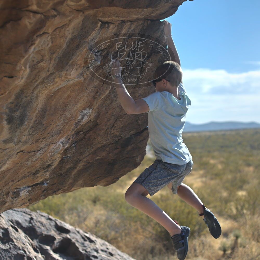 

Filename: SRM_20211223_1417573.jpg
Aperture: f/2.8
Shutter Speed: 1/3200
Body: Canon EOS R6
Lens: Canon EF 50mm f/1.8 II