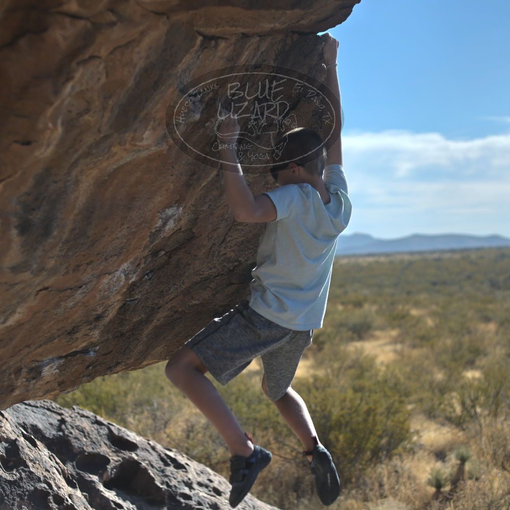 

Filename: SRM_20211223_1417591.jpg
Aperture: f/2.8
Shutter Speed: 1/3200
Body: Canon EOS R6
Lens: Canon EF 50mm f/1.8 II