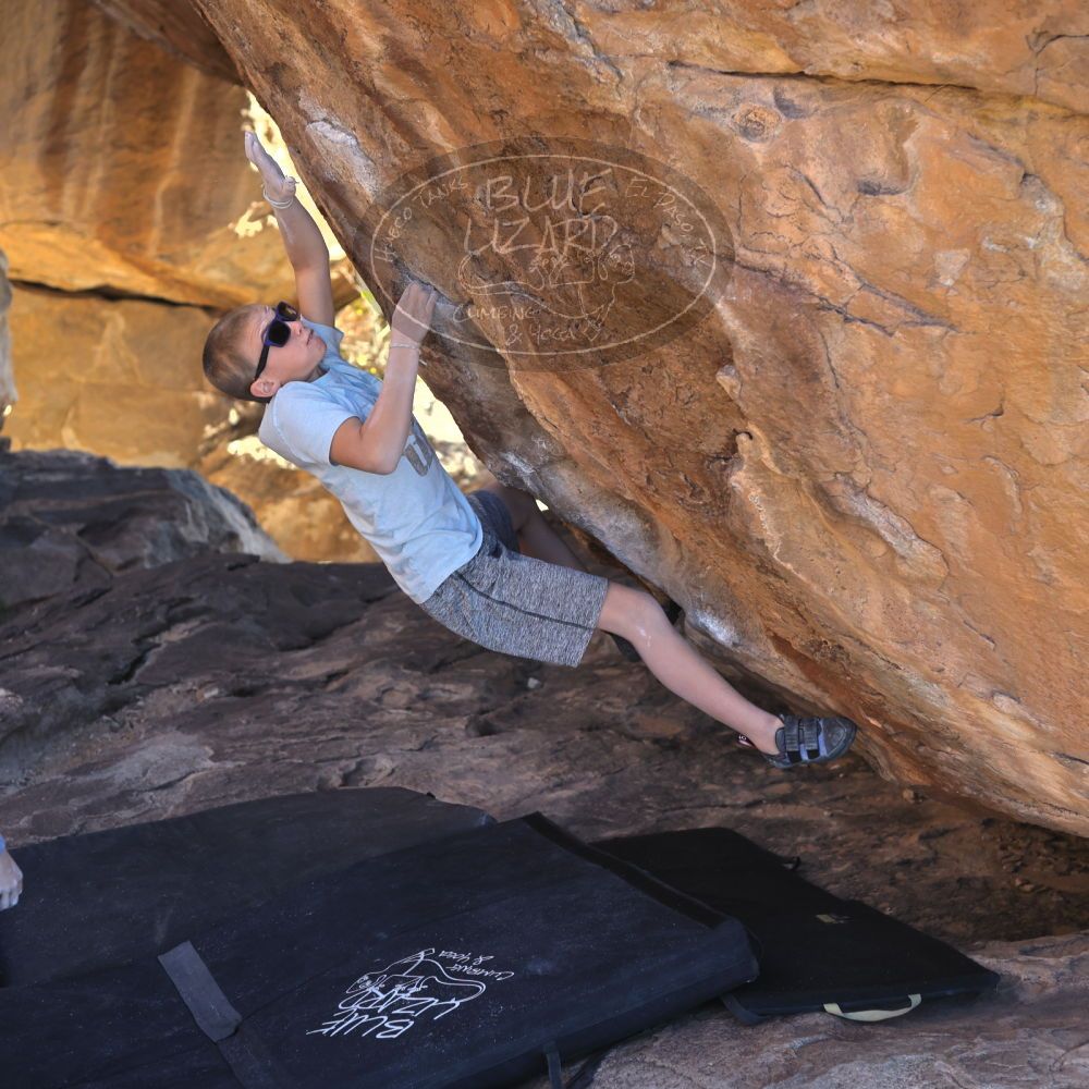 

Filename: SRM_20211223_1431470.jpg
Aperture: f/4.0
Shutter Speed: 1/1000
Body: Canon EOS R6
Lens: Canon EF 50mm f/1.8 II