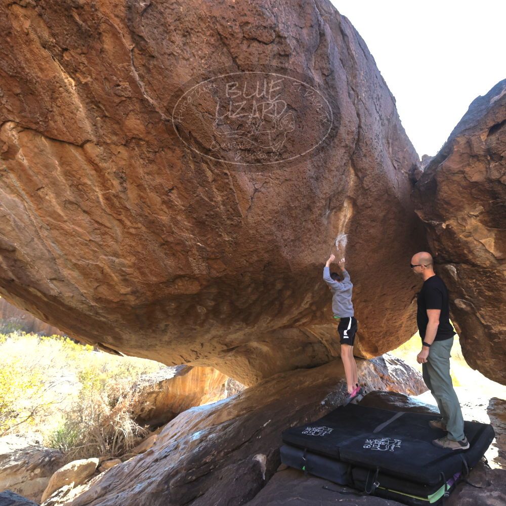 

Filename: SRM_20211223_1450310.jpg
Aperture: f/5.6
Shutter Speed: 1/500
Body: Canon EOS R6
Lens: Canon EF 16-35mm f/2.8 L