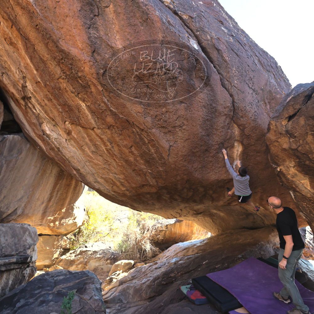 

Filename: SRM_20211223_1452251.jpg
Aperture: f/5.6
Shutter Speed: 1/400
Body: Canon EOS R6
Lens: Canon EF 16-35mm f/2.8 L