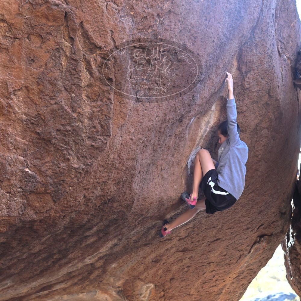 

Filename: SRM_20211223_1502560.jpg
Aperture: f/5.6
Shutter Speed: 1/400
Body: Canon EOS R6
Lens: Canon EF 85mm f/1.2 L II