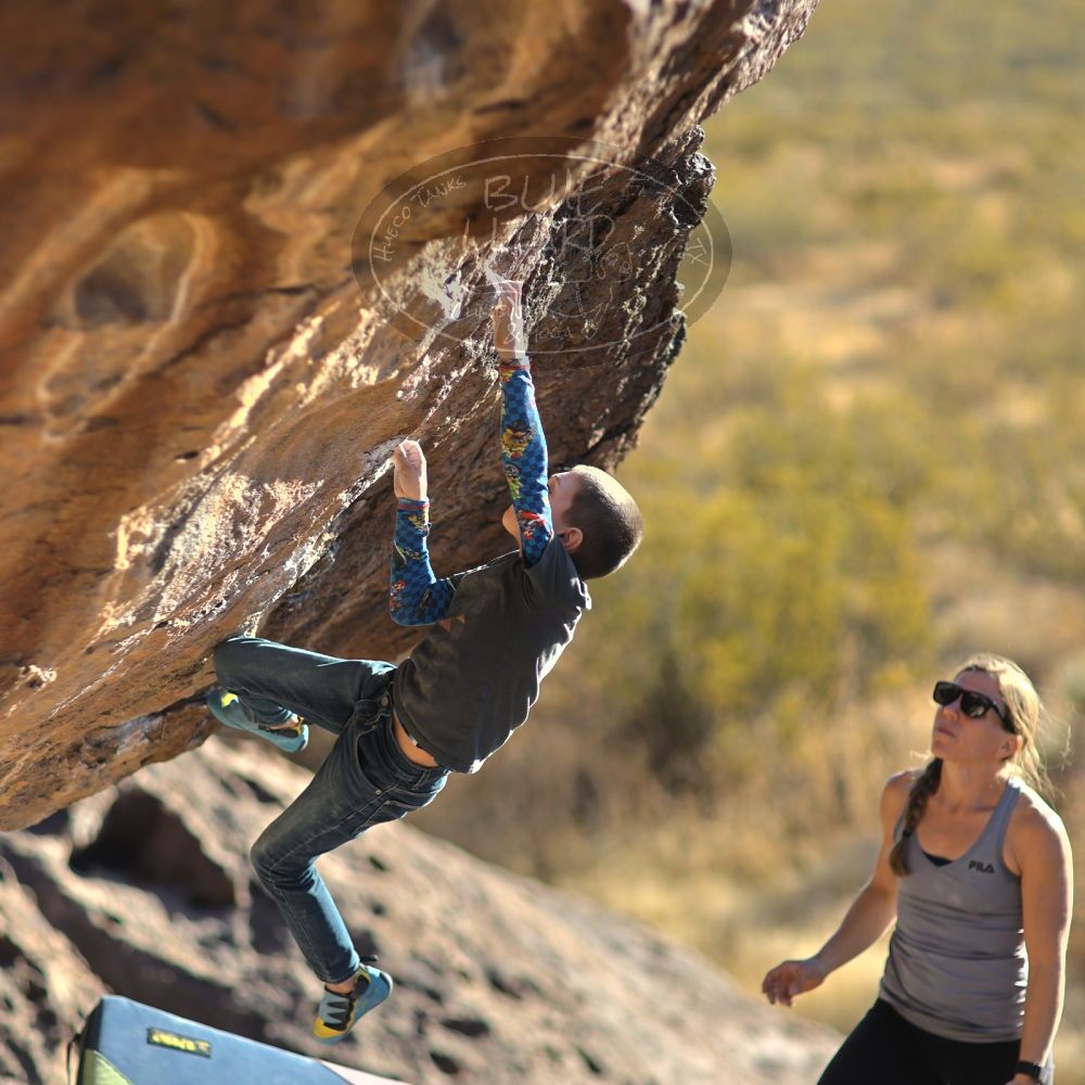 

Filename: SRM_20211223_1549250.jpg
Aperture: f/1.8
Shutter Speed: 1/5000
Body: Canon EOS R6
Lens: Canon EF 85mm f/1.2 L II