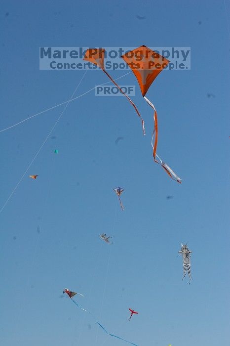 UT kites at the 79th annual Zilker Park Kite Festival, Sunday, March 4, 2007.

Filename: SRM_20070304_1541263.jpg
Aperture: f/14.0
Shutter Speed: 1/500
Body: Canon EOS 20D
Lens: Canon EF 80-200mm f/2.8 L