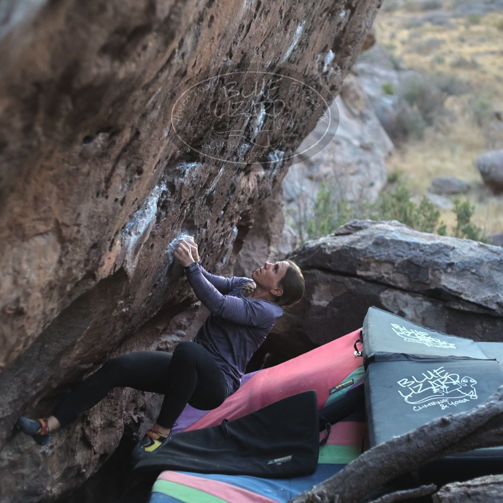 

Filename: SRM_20211223_1710090.jpg
Aperture: f/2.5
Shutter Speed: 1/250
Body: Canon EOS R6
Lens: Canon EF 50mm f/1.8 II