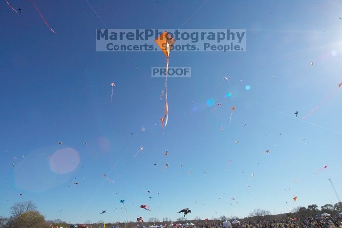 79th annual Zilker Park Kite Festival, Sunday, March 4, 2007.
Filename: SRM_20070304_1542349.jpg
Aperture: f/13.0
Shutter Speed: 1/250
Body: Canon EOS-1D Mark II
Lens: Sigma 15-30mm f/3.5-4.5 EX Aspherical DG DF
