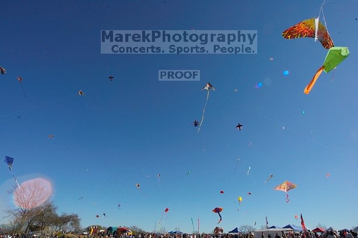 79th annual Zilker Park Kite Festival, Sunday, March 4, 2007.
Filename: SRM_20070304_1544261.jpg
Aperture: f/13.0
Shutter Speed: 1/250
Body: Canon EOS-1D Mark II
Lens: Sigma 15-30mm f/3.5-4.5 EX Aspherical DG DF