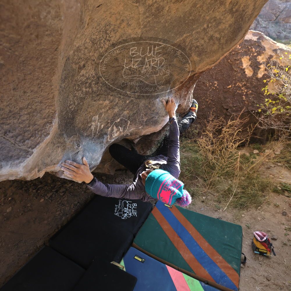 

Filename: SRM_20211227_0900270.jpg
Aperture: f/5.6
Shutter Speed: 1/250
Body: Canon EOS R6
Lens: Canon EF 16-35mm f/2.8 L