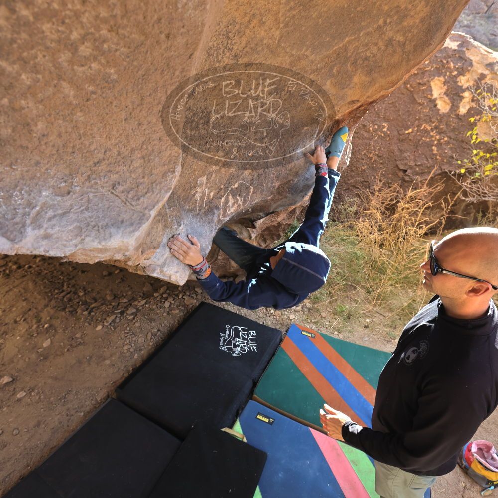 

Filename: SRM_20211227_0908060.jpg
Aperture: f/5.6
Shutter Speed: 1/250
Body: Canon EOS R6
Lens: Canon EF 16-35mm f/2.8 L