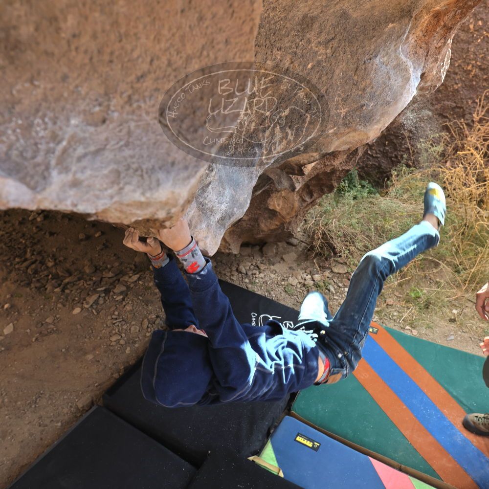 

Filename: SRM_20211227_0910360.jpg
Aperture: f/5.6
Shutter Speed: 1/250
Body: Canon EOS R6
Lens: Canon EF 16-35mm f/2.8 L