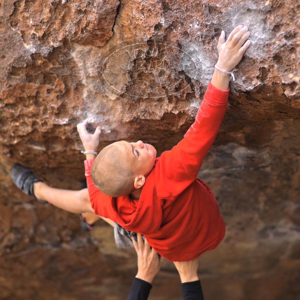 

Filename: SRM_20211227_0935400.jpg
Aperture: f/2.2
Shutter Speed: 1/400
Body: Canon EOS R6
Lens: Canon EF 85mm f/1.2 L II