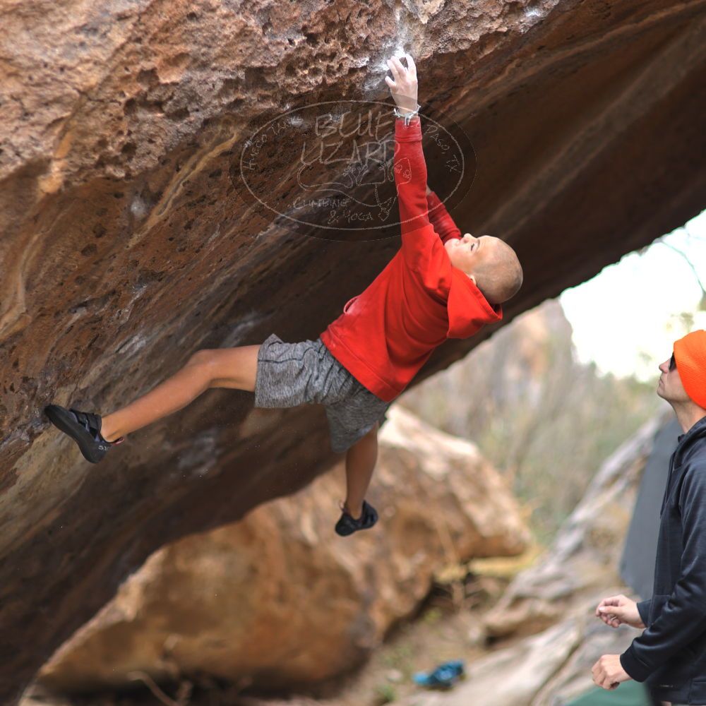 

Filename: SRM_20211227_1024031.jpg
Aperture: f/1.6
Shutter Speed: 1/1000
Body: Canon EOS R6
Lens: Canon EF 85mm f/1.2 L II