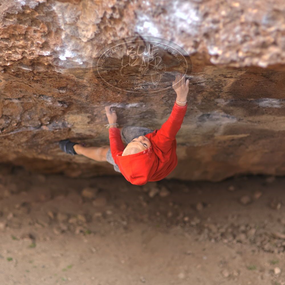 

Filename: SRM_20211227_1033331.jpg
Aperture: f/1.6
Shutter Speed: 1/1000
Body: Canon EOS R6
Lens: Canon EF 85mm f/1.2 L II