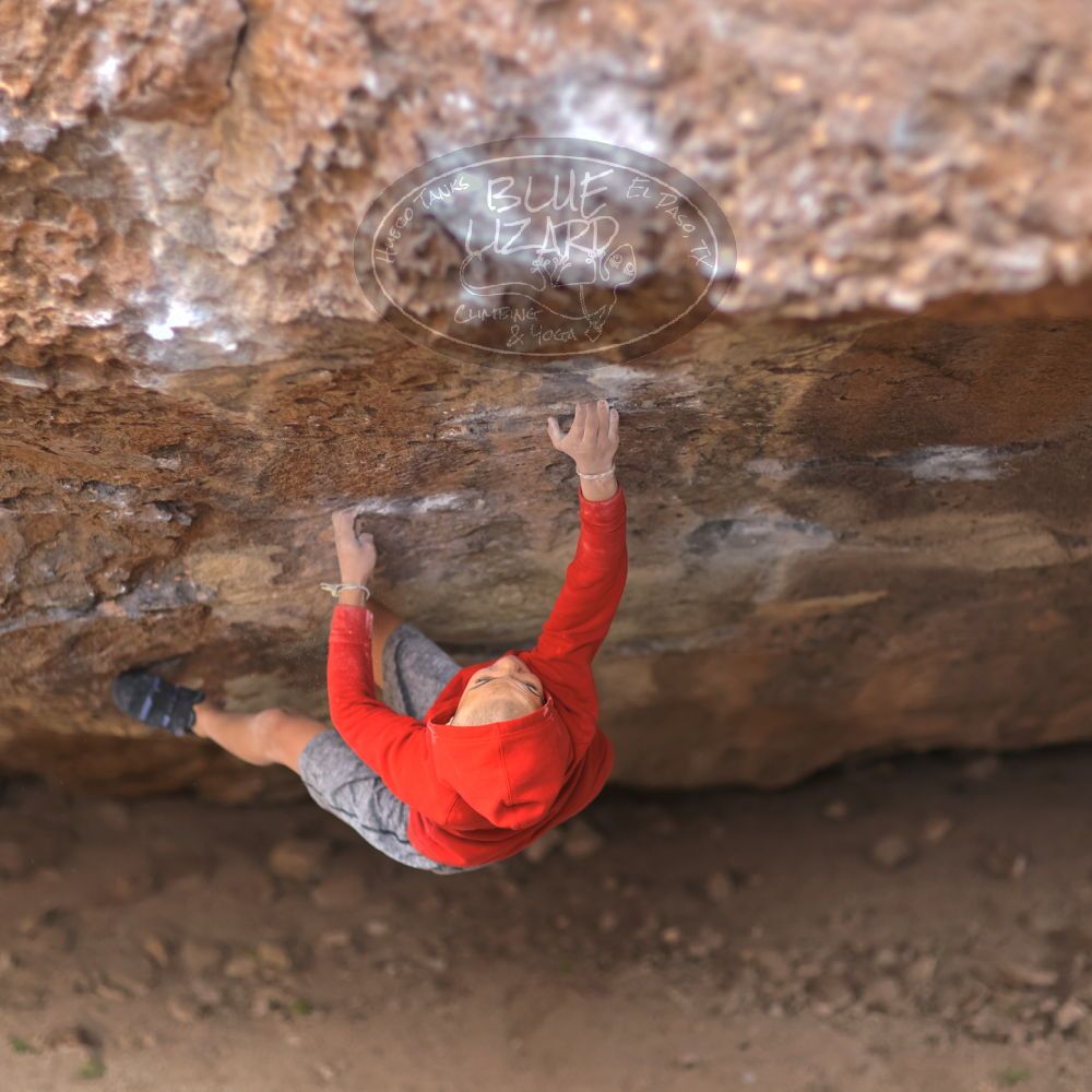 

Filename: SRM_20211227_1035520.jpg
Aperture: f/1.6
Shutter Speed: 1/1000
Body: Canon EOS R6
Lens: Canon EF 85mm f/1.2 L II