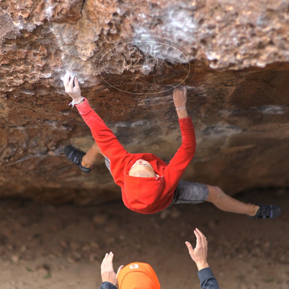 

Filename: SRM_20211227_1040183.jpg
Aperture: f/1.6
Shutter Speed: 1/1000
Body: Canon EOS R6
Lens: Canon EF 85mm f/1.2 L II