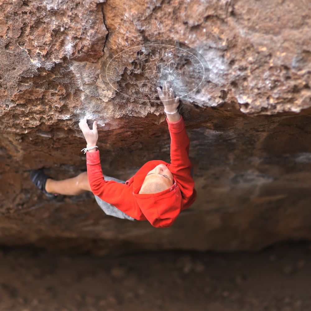 

Filename: SRM_20211227_1040280.jpg
Aperture: f/1.6
Shutter Speed: 1/1000
Body: Canon EOS R6
Lens: Canon EF 85mm f/1.2 L II