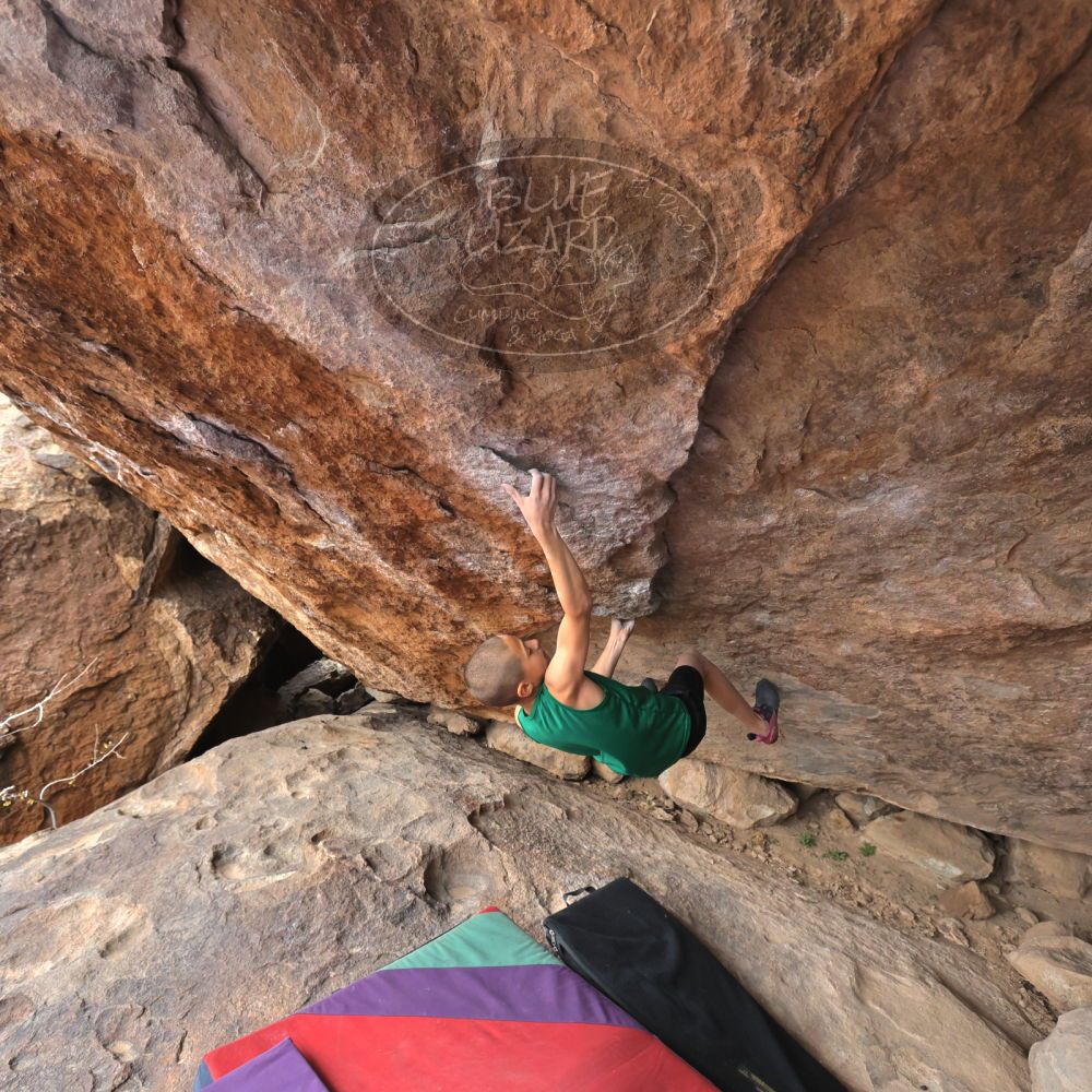 

Filename: SRM_20211227_1123430.jpg
Aperture: f/5.6
Shutter Speed: 1/800
Body: Canon EOS R6
Lens: Canon EF 16-35mm f/2.8 L