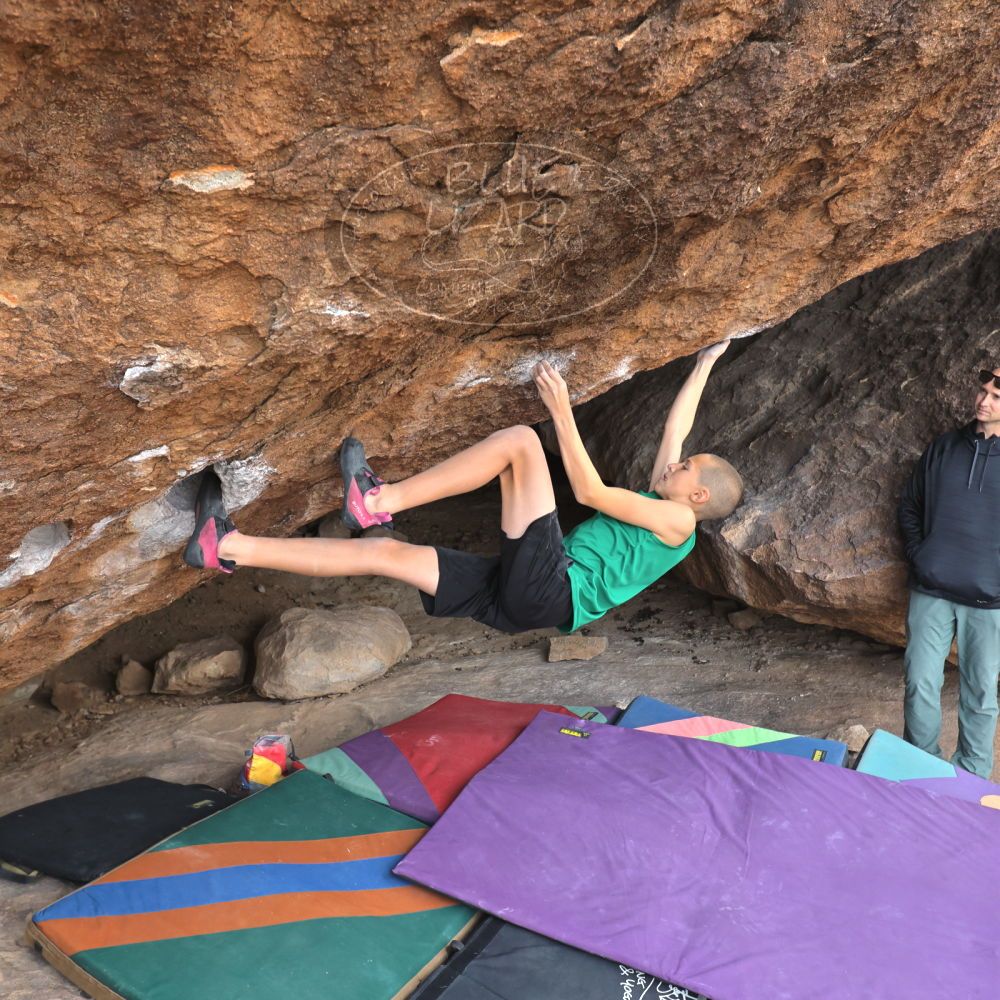 

Filename: SRM_20211227_1135410.jpg
Aperture: f/5.6
Shutter Speed: 1/500
Body: Canon EOS R6
Lens: Canon EF 16-35mm f/2.8 L