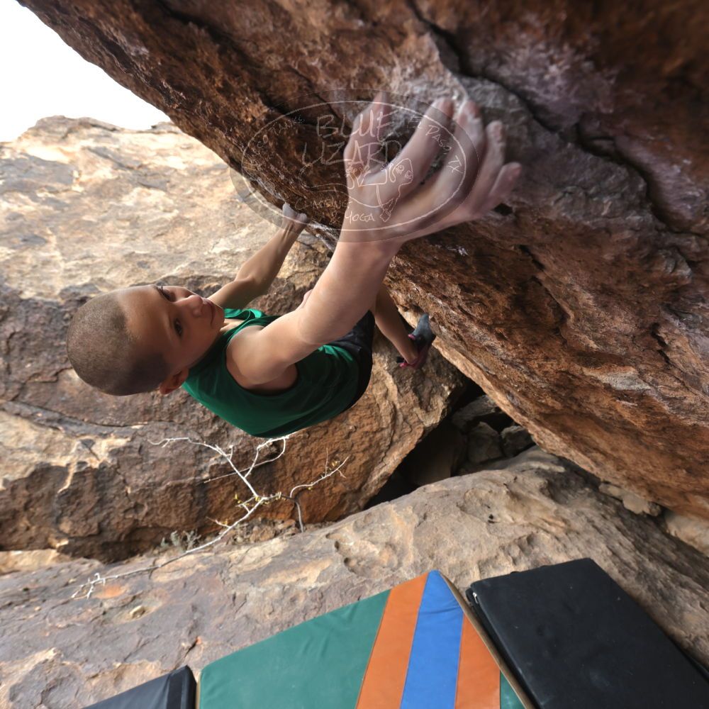 

Filename: SRM_20211227_1141530.jpg
Aperture: f/5.6
Shutter Speed: 1/500
Body: Canon EOS R6
Lens: Canon EF 16-35mm f/2.8 L