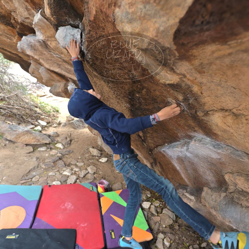 

Filename: SRM_20211227_1230211.jpg
Aperture: f/4.0
Shutter Speed: 1/250
Body: Canon EOS R6
Lens: Canon EF 16-35mm f/2.8 L