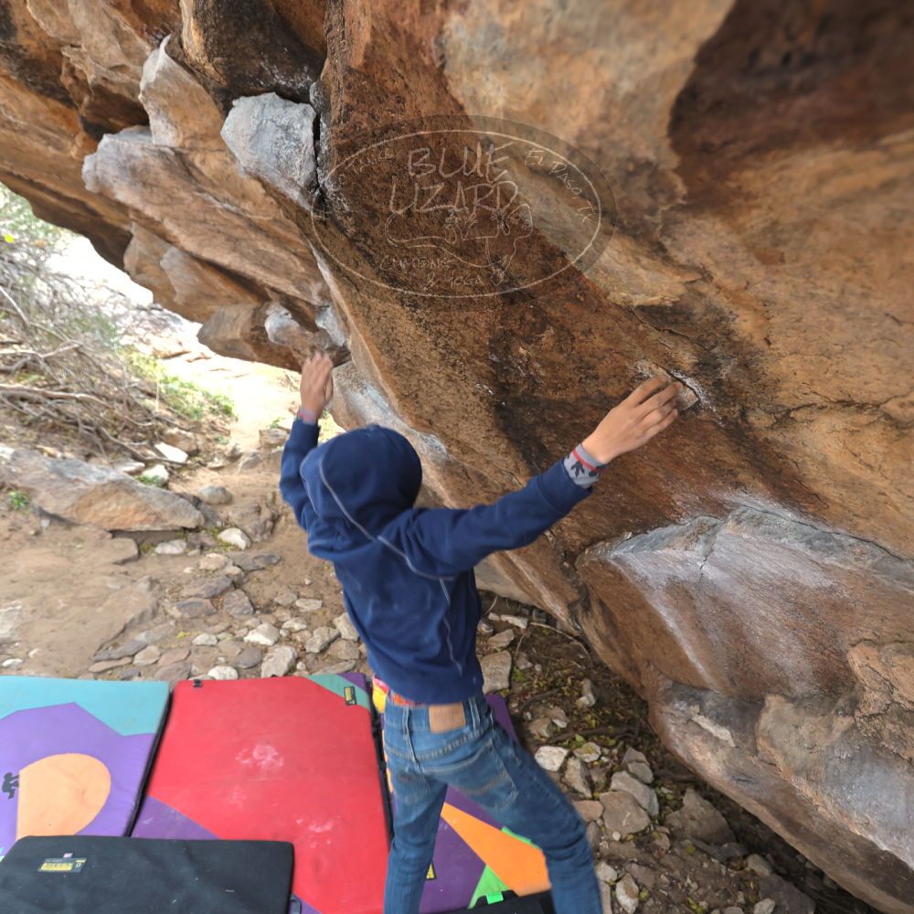 

Filename: SRM_20211227_1230212.jpg
Aperture: f/4.0
Shutter Speed: 1/250
Body: Canon EOS R6
Lens: Canon EF 16-35mm f/2.8 L