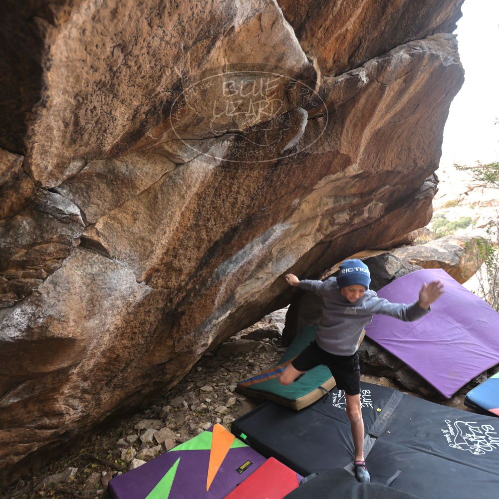 

Filename: SRM_20211227_1231342.jpg
Aperture: f/4.0
Shutter Speed: 1/400
Body: Canon EOS R6
Lens: Canon EF 16-35mm f/2.8 L