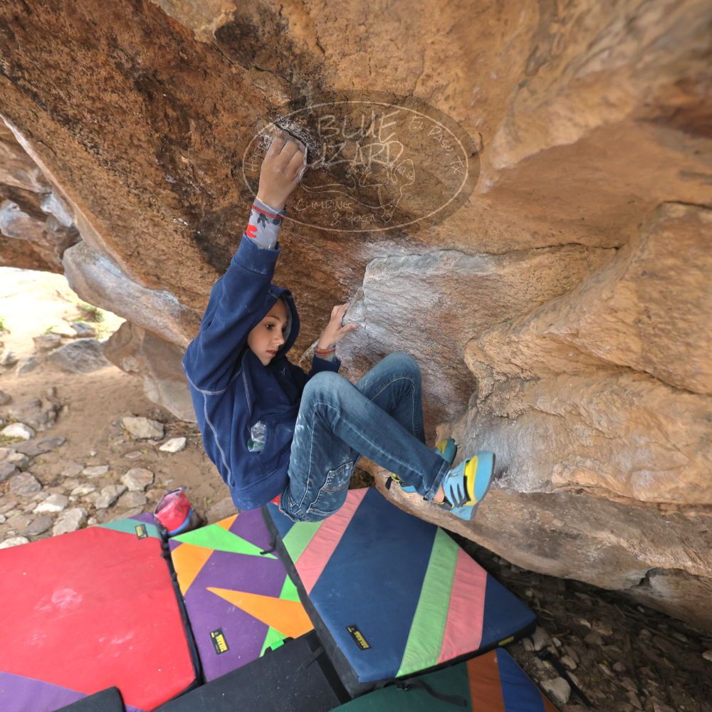 

Filename: SRM_20211227_1235570.jpg
Aperture: f/4.0
Shutter Speed: 1/400
Body: Canon EOS R6
Lens: Canon EF 16-35mm f/2.8 L