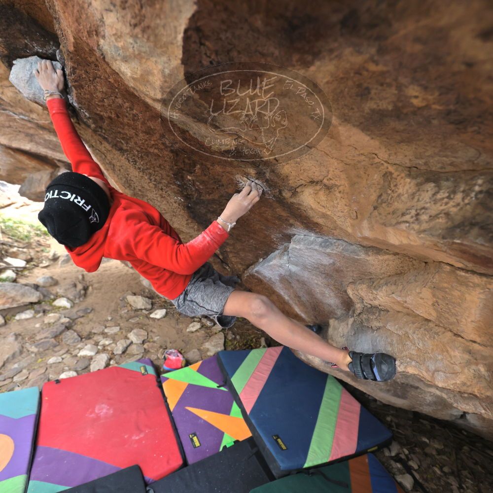 

Filename: SRM_20211227_1236431.jpg
Aperture: f/4.0
Shutter Speed: 1/400
Body: Canon EOS R6
Lens: Canon EF 16-35mm f/2.8 L