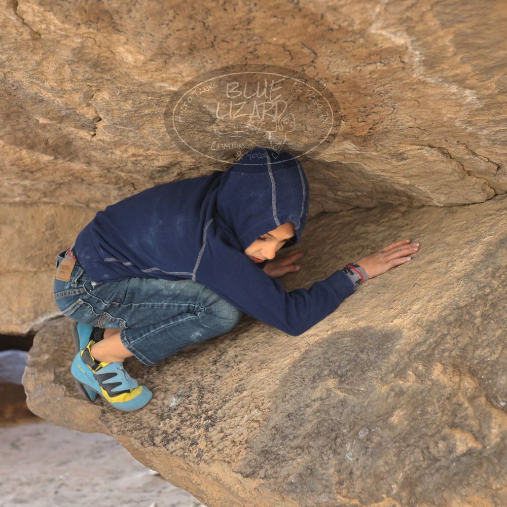 

Filename: SRM_20211227_1246120.jpg
Aperture: f/4.0
Shutter Speed: 1/250
Body: Canon EOS R6
Lens: Canon EF 16-35mm f/2.8 L