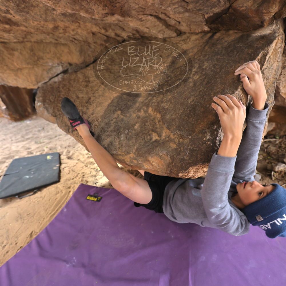 

Filename: SRM_20211227_1250120.jpg
Aperture: f/4.0
Shutter Speed: 1/200
Body: Canon EOS R6
Lens: Canon EF 16-35mm f/2.8 L