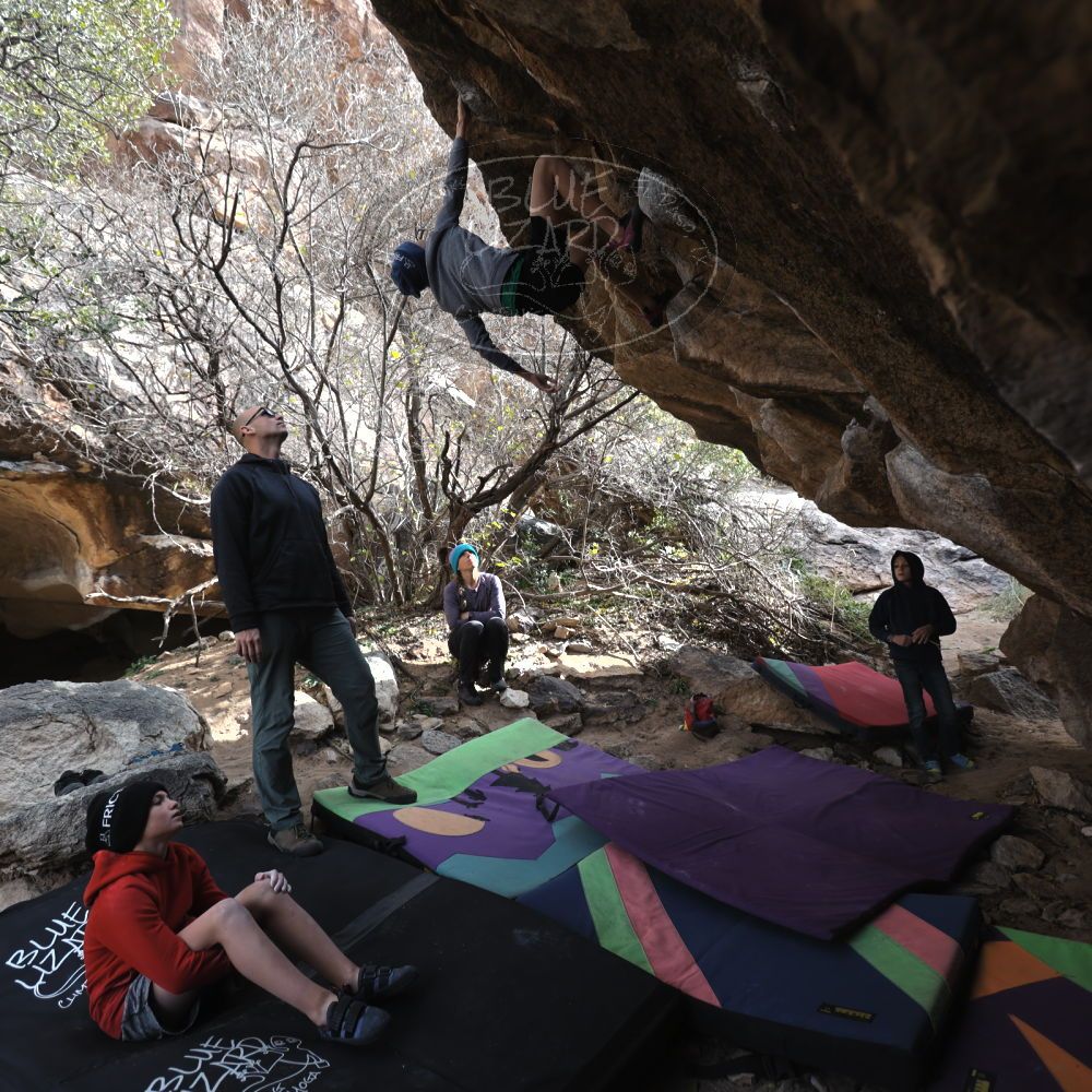 

Filename: SRM_20211227_1251090.jpg
Aperture: f/4.0
Shutter Speed: 1/200
Body: Canon EOS R6
Lens: Canon EF 16-35mm f/2.8 L