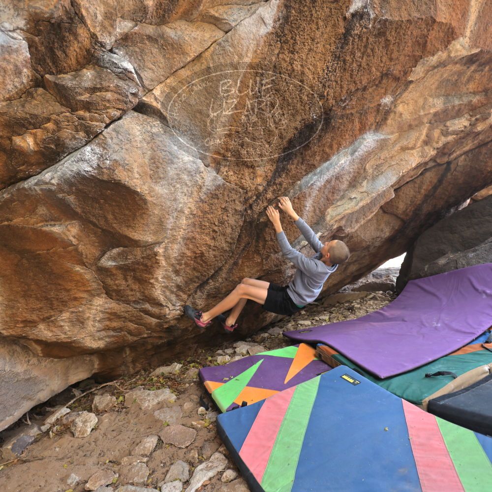 

Filename: SRM_20211227_1304540.jpg
Aperture: f/4.0
Shutter Speed: 1/200
Body: Canon EOS R6
Lens: Canon EF 16-35mm f/2.8 L