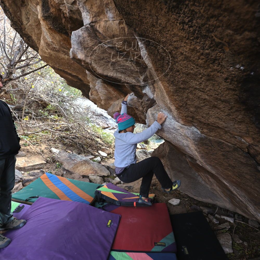 

Filename: SRM_20211227_1311400.jpg
Aperture: f/4.0
Shutter Speed: 1/200
Body: Canon EOS R6
Lens: Canon EF 16-35mm f/2.8 L