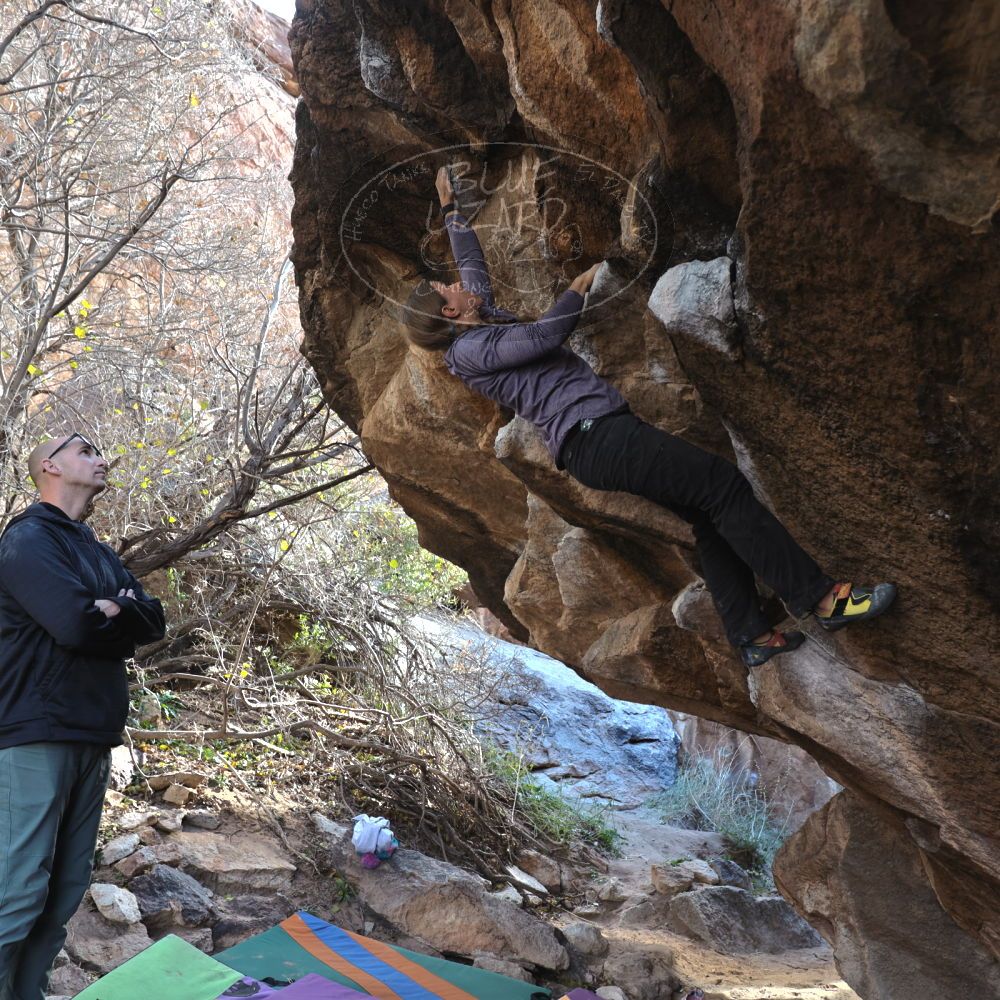 

Filename: SRM_20211227_1317370.jpg
Aperture: f/4.0
Shutter Speed: 1/200
Body: Canon EOS R6
Lens: Canon EF 16-35mm f/2.8 L