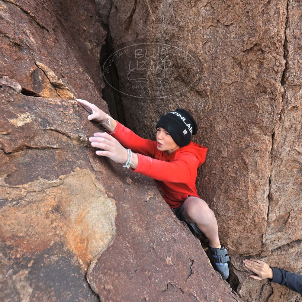 

Filename: SRM_20211227_1329020.jpg
Aperture: f/5.6
Shutter Speed: 1/320
Body: Canon EOS R6
Lens: Canon EF 16-35mm f/2.8 L