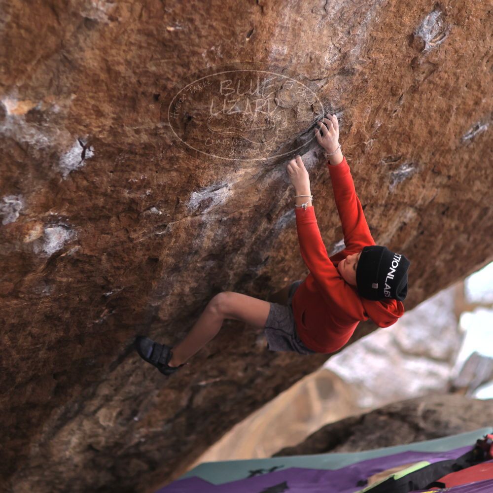 

Filename: SRM_20211227_1511440.jpg
Aperture: f/1.8
Shutter Speed: 1/320
Body: Canon EOS R6
Lens: Canon EF 85mm f/1.2 L II