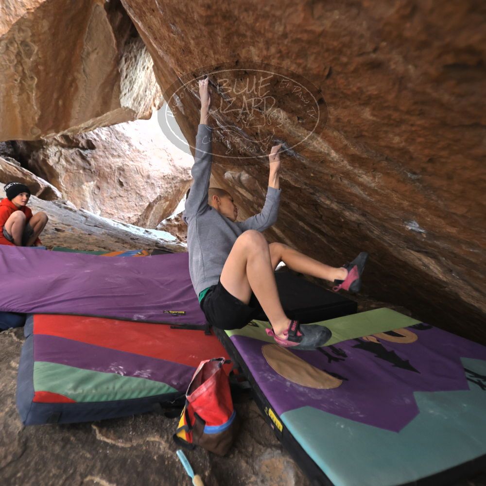 

Filename: SRM_20211227_1517212.jpg
Aperture: f/2.8
Shutter Speed: 1/320
Body: Canon EOS R6
Lens: Canon EF 16-35mm f/2.8 L