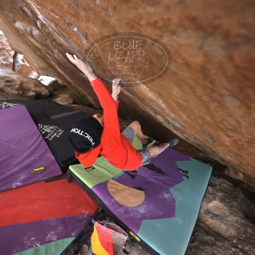 

Filename: SRM_20211227_1519390.jpg
Aperture: f/2.8
Shutter Speed: 1/320
Body: Canon EOS R6
Lens: Canon EF 16-35mm f/2.8 L