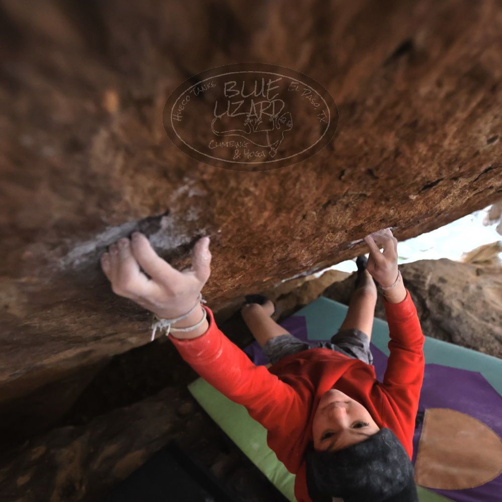 

Filename: SRM_20211227_1557462.jpg
Aperture: f/2.8
Shutter Speed: 1/320
Body: Canon EOS R6
Lens: Canon EF 16-35mm f/2.8 L