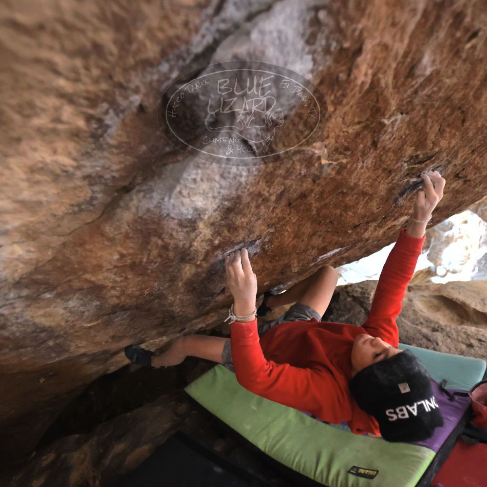 

Filename: SRM_20211227_1557500.jpg
Aperture: f/2.8
Shutter Speed: 1/320
Body: Canon EOS R6
Lens: Canon EF 16-35mm f/2.8 L