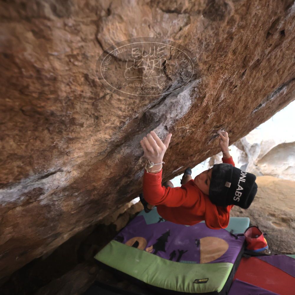 

Filename: SRM_20211227_1557530.jpg
Aperture: f/2.8
Shutter Speed: 1/320
Body: Canon EOS R6
Lens: Canon EF 16-35mm f/2.8 L