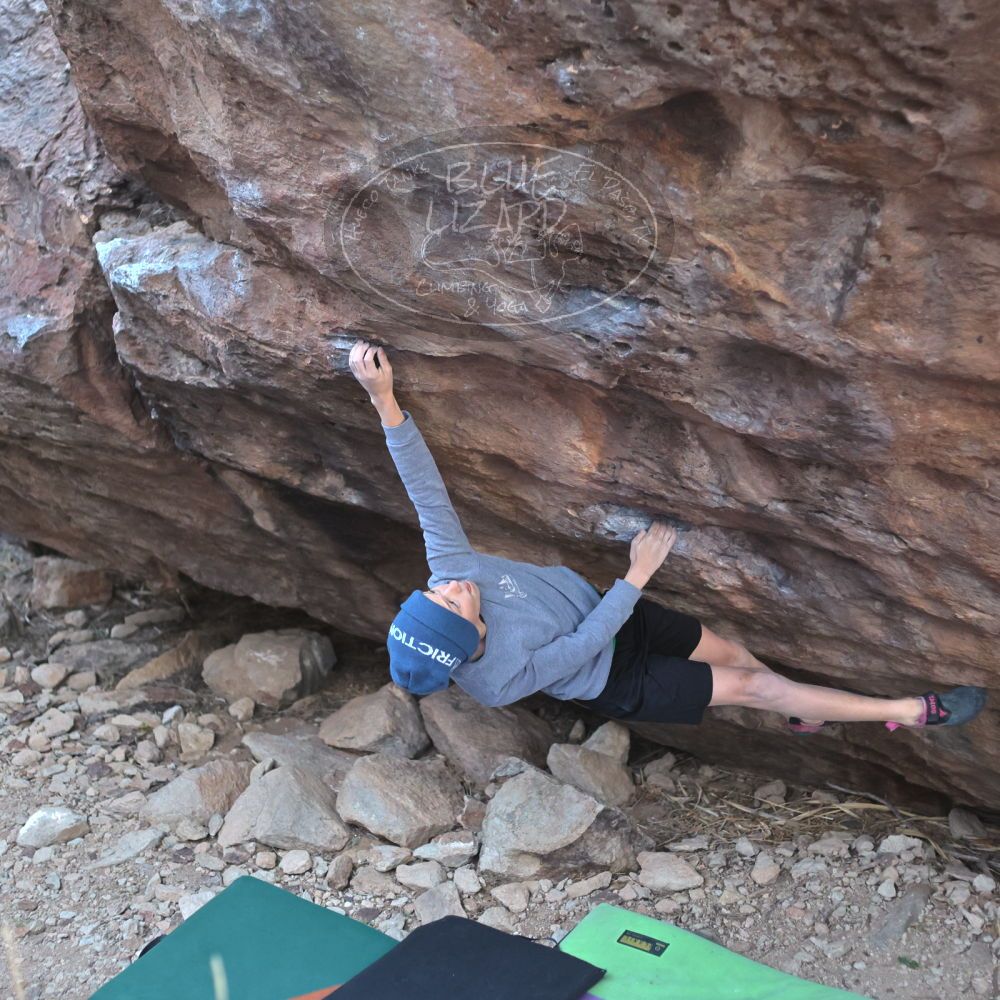 

Filename: SRM_20211227_1649500.jpg
Aperture: f/2.8
Shutter Speed: 1/320
Body: Canon EOS R6
Lens: Canon EF 50mm f/1.8 II