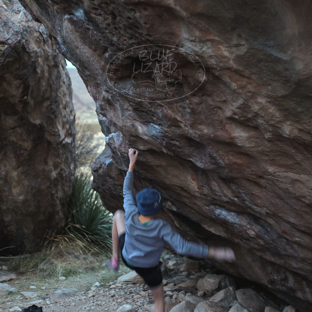 

Filename: SRM_20211227_1702581.jpg
Aperture: f/2.8
Shutter Speed: 1/60
Body: Canon EOS R6
Lens: Canon EF 50mm f/1.8 II