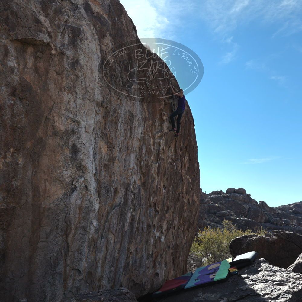 

Filename: SRM_20211228_0949480.jpg
Aperture: f/7.1
Shutter Speed: 1/320
Body: Canon EOS R6
Lens: Canon EF 16-35mm f/2.8 L